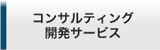 コンサルティング開発サービス